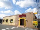 ジョイフル 西条東店(その他飲食（ファミレスなど）)まで240m ニーナ　C棟