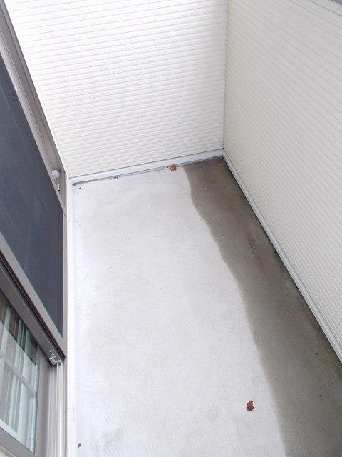  フェデール　Ｂ