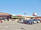 フレスタ 西条店(スーパー)まで759m タウンコートＡ