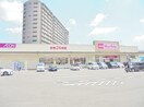 マックスバリュ西条御条店(スーパー)まで350m オハラ独身マンション