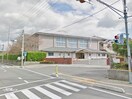 東広島市立　磯松中学校(中学校/中等教育学校)まで1400m D-roomマスヤ