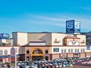 フジグラン 東広島(ショッピングセンター/アウトレットモール)まで2200m アルカディアI