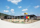 西条あおい保育園(幼稚園/保育園)まで213m BEREO　RYUO