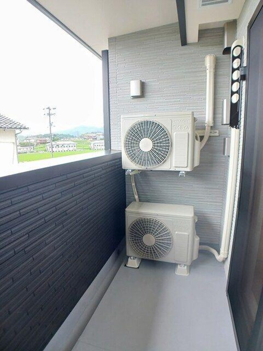  レディー　　バード