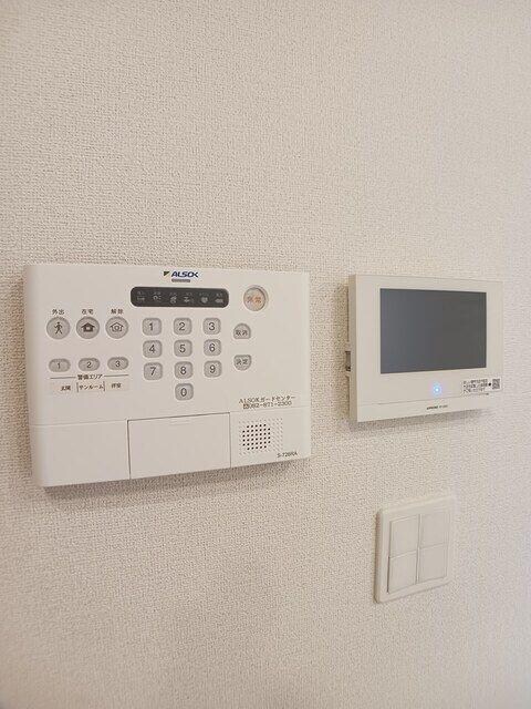  レディー　　バード