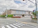東広島市立磯松中学校(中学校/中等教育学校)まで1300m Ｈａｌｅ　ＥＬＵＥＫＯ