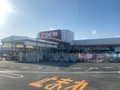 DCM土与丸店(電気量販店/ホームセンター)まで1360m （仮称）reve西条岡町