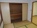  プラシード