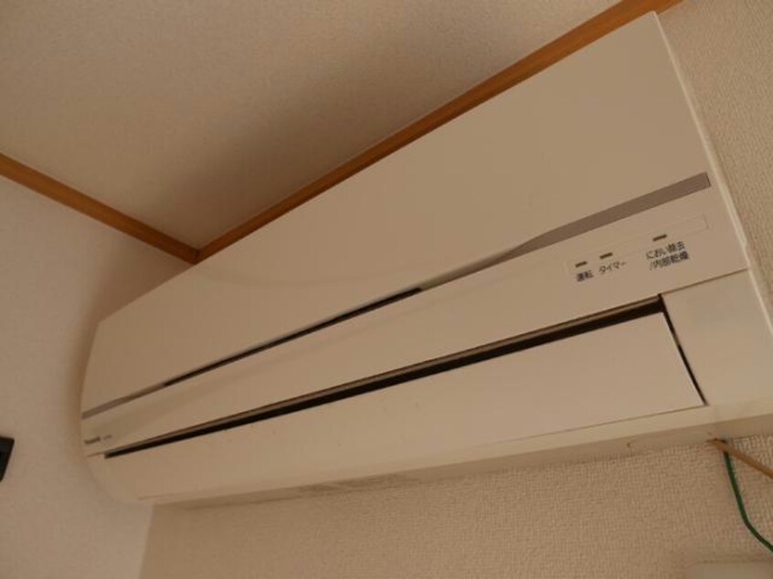  ビューティパレス