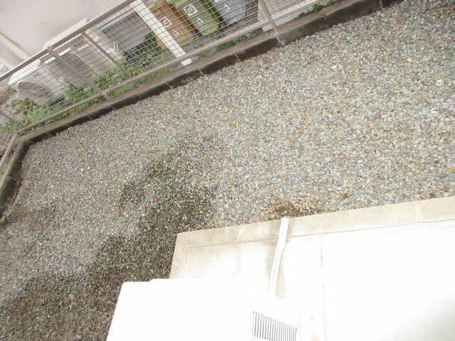  コート　パルＢ
