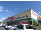 フレッシュバザール福知山東野パーク店(スーパー)まで450m レヴァーク　ヒルズ