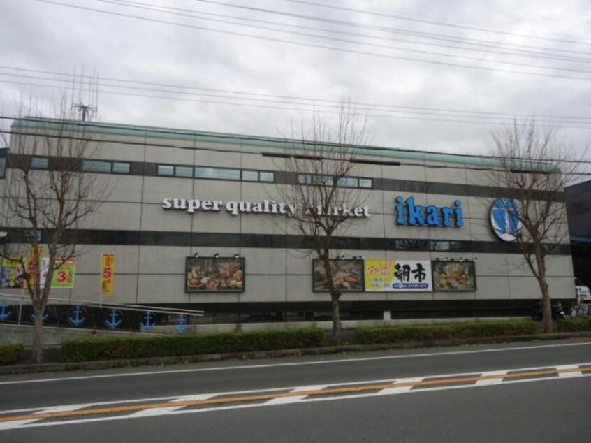 いかりスーパーマーケット有野店(スーパー)まで512m シュロスアリノ