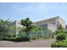 神戸市立有野小学校(小学校)まで2048m アルトピアーノ北神戸Ⅱ