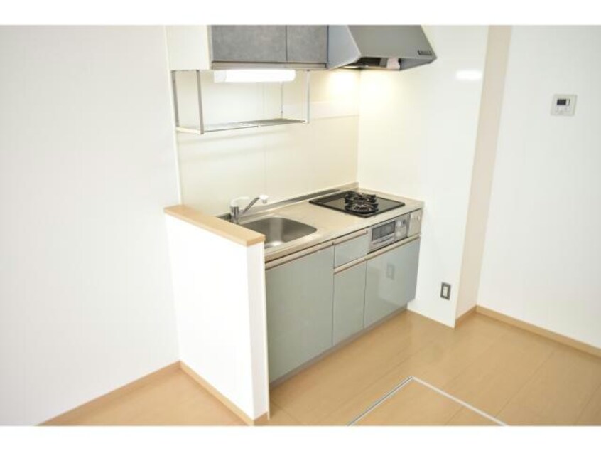  ラーゼンヴィラⅡ