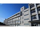 三田市立三田小学校(小学校)まで1629m ディアコート横山