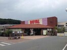 ロイヤルホームセンター北神戸(電気量販店/ホームセンター)まで1000m クラールオストベルグⅡ