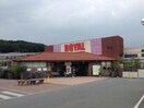 ロイヤルホームセンター北神戸店(電気量販店/ホームセンター)まで2653m ファインステージ