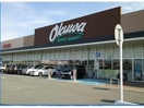 オークワ三田店(スーパー)まで1430m シャトレⅤ