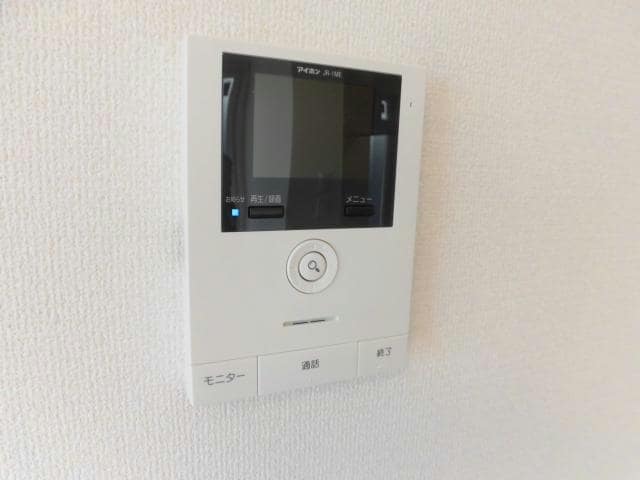  ﾌﾙｰﾙ ﾄﾞｩ ｿﾚｲﾕⅠ