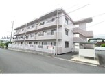 パストラーレⅢ
