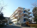 磐田市立磐田中部小学校(小学校)まで1285m シャトレ壱番館