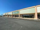 Seria生活良品福田店(ディスカウントショップ)まで547m ハイツ秋桜Ⅱ