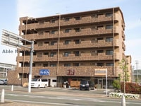 ＳＴＡＲ　ＤＲＥＡＭ