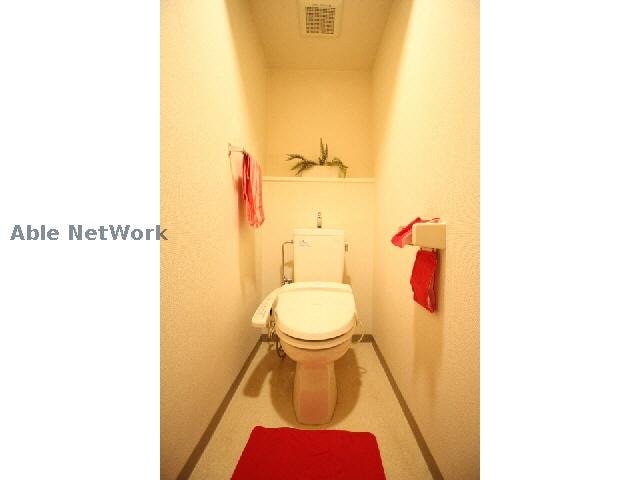 同型タイプ ルミエール