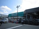 カインズ袋井店(電気量販店/ホームセンター)まで716m ファビアン