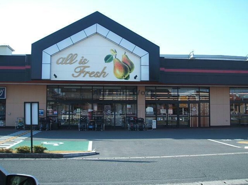 遠鉄ストア竜洋店(スーパー)まで1040m レガンス