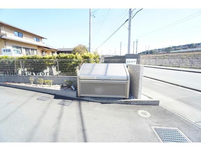  エバーグリーン