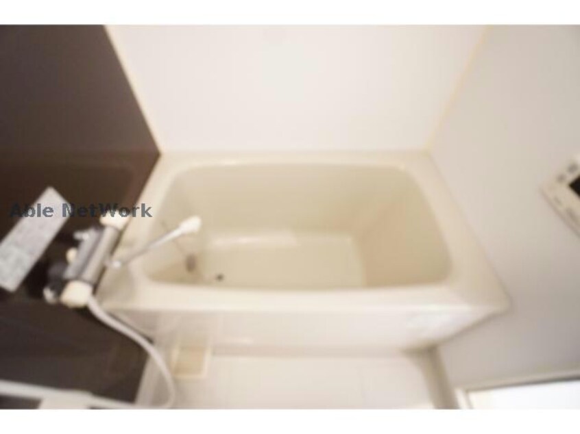  エバーグリーン