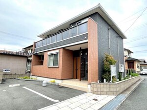 ステラⅡ