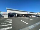 カワチ薬品磐田店(ドラッグストア)まで1295m エスポワール富士見台