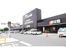 スーパービバホーム磐田店(電気量販店/ホームセンター)まで999m リバティードリーム