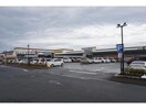 Seria浅羽パディ店(ディスカウントショップ)まで743m メゾンT