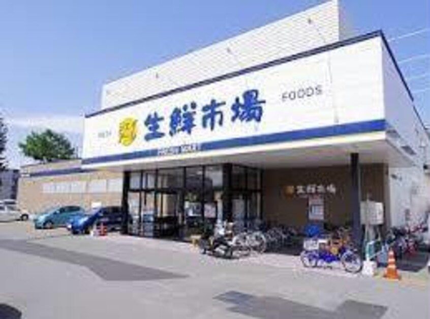 ジェイアール生鮮市場恵庭店(スーパー)まで500m ベルトピア恵庭