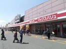 マックスバリュ恵庭店(スーパー)まで1088m サンルート中島