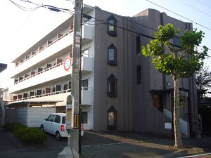 ワイズドミトリー