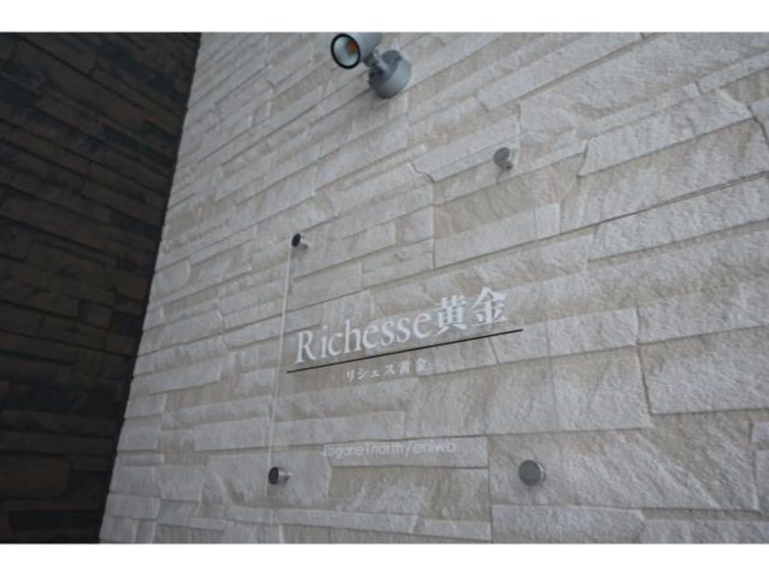  Ｒｉｃｈｅｓｓｅ黄金