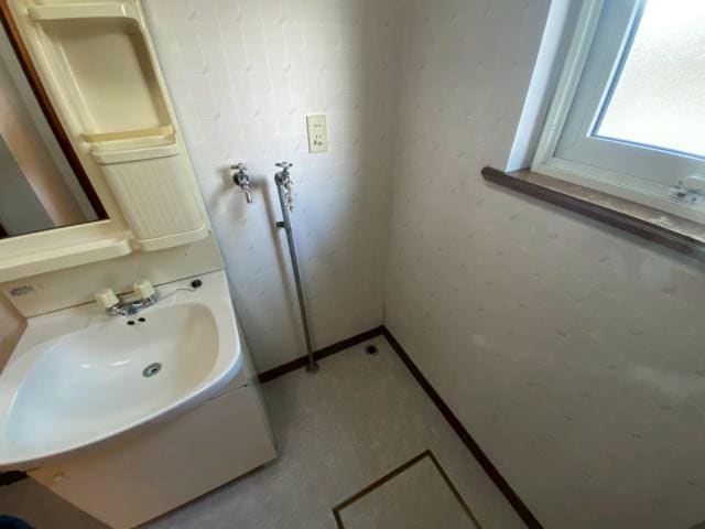  ダンディーオーク青葉