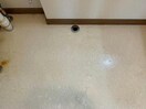  ハイツコムカラ