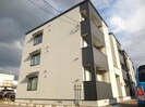 Pinotageの外観