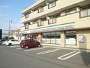 セブンイレブン千歳勇舞店(コンビニ)まで530m ミュゲパレス