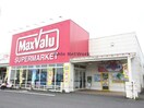 マックスバリュ都城店(スーパー)まで1341m 柳田　健一貸家