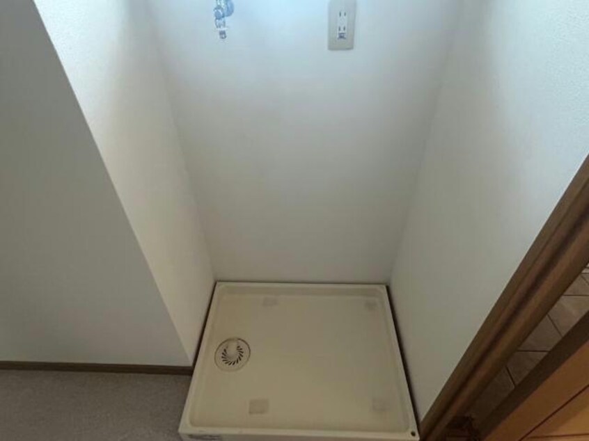  Ｙ＆Ｍデイジー