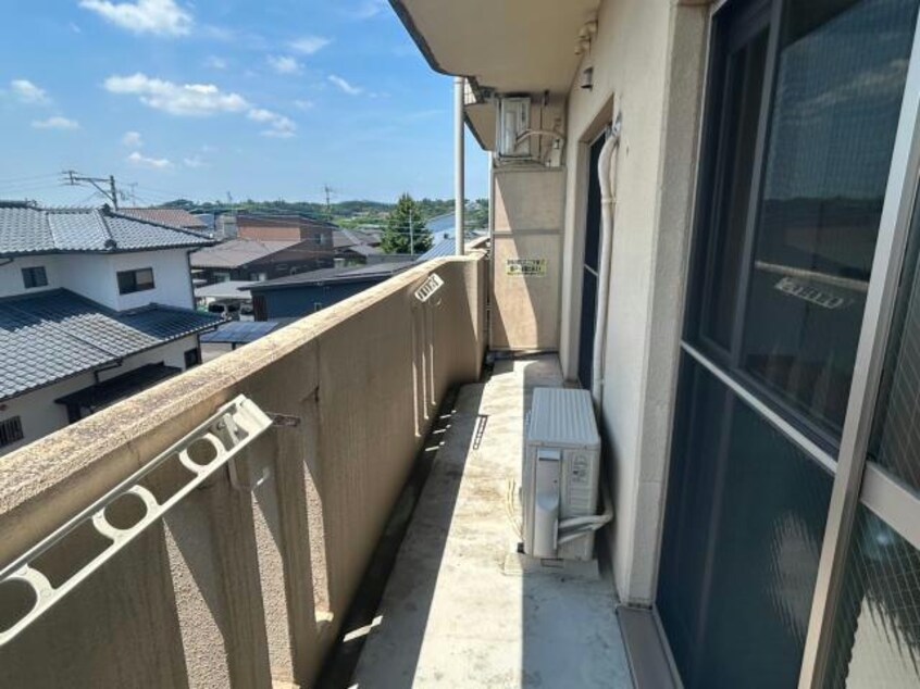  Ｙ＆Ｍデイジー