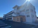 M10.若葉の外観