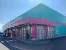 ディスカウントドラッグコスモス志比田店(ドラッグストア)まで1823m ロータス都城4