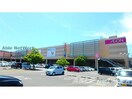 イオン八代店(スーパー)まで547m 高島ハイツ